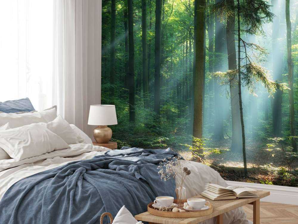 Soluppgång i skogen