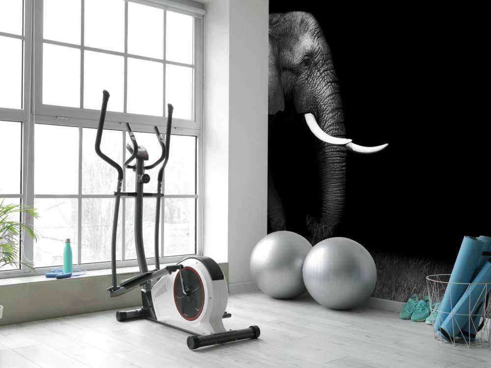 Elefant på gräs