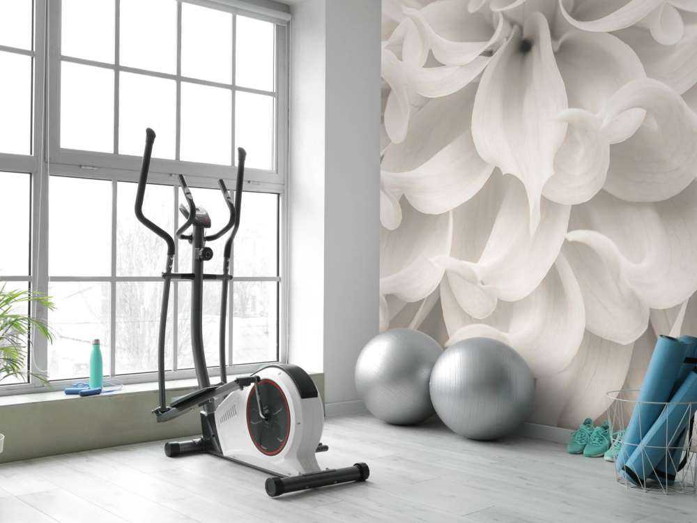 Närbild av dahliablomma