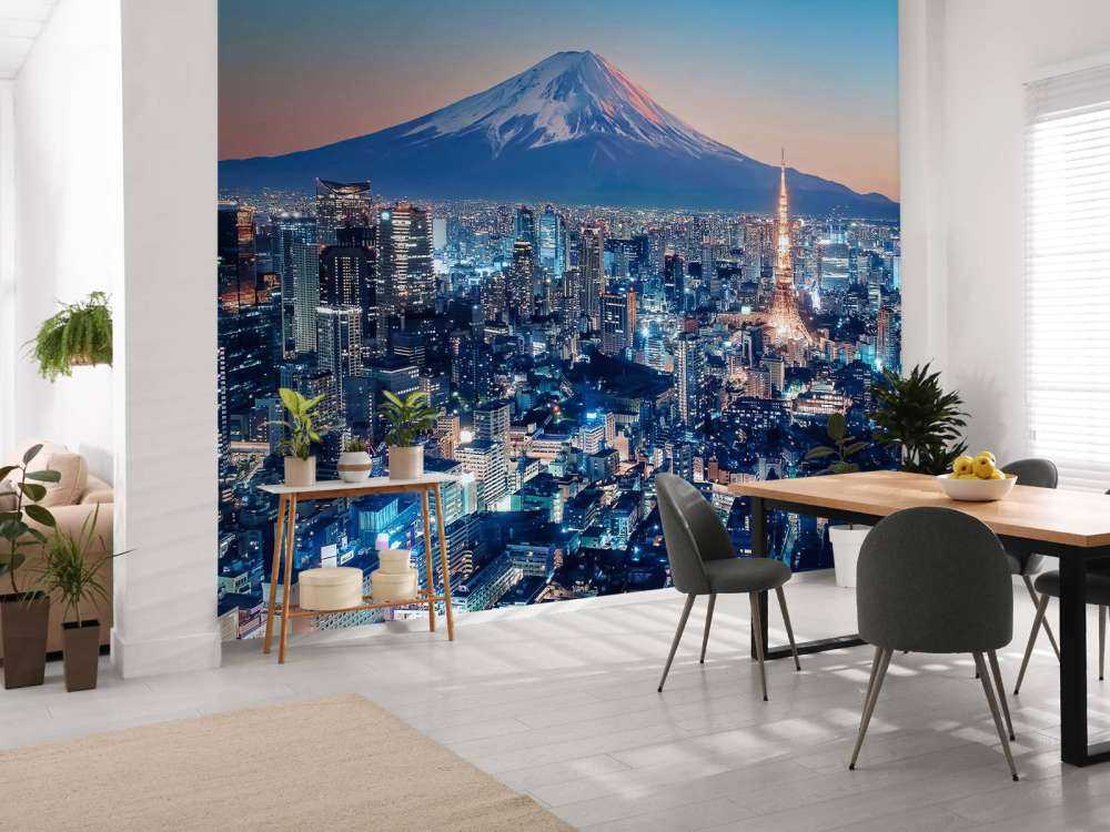 Tokyo i solnedgången