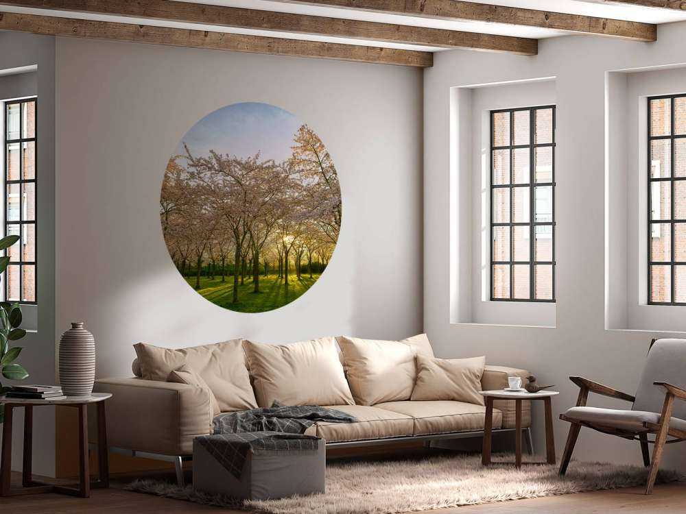 blommande blomningsträd