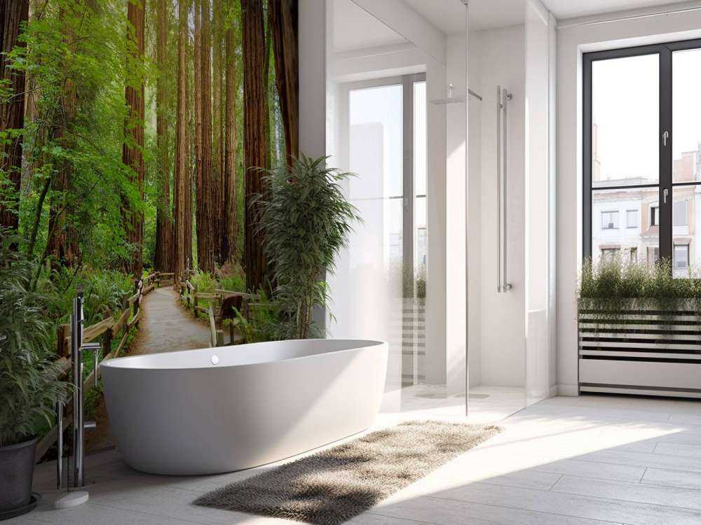 Höga träd parkerar in