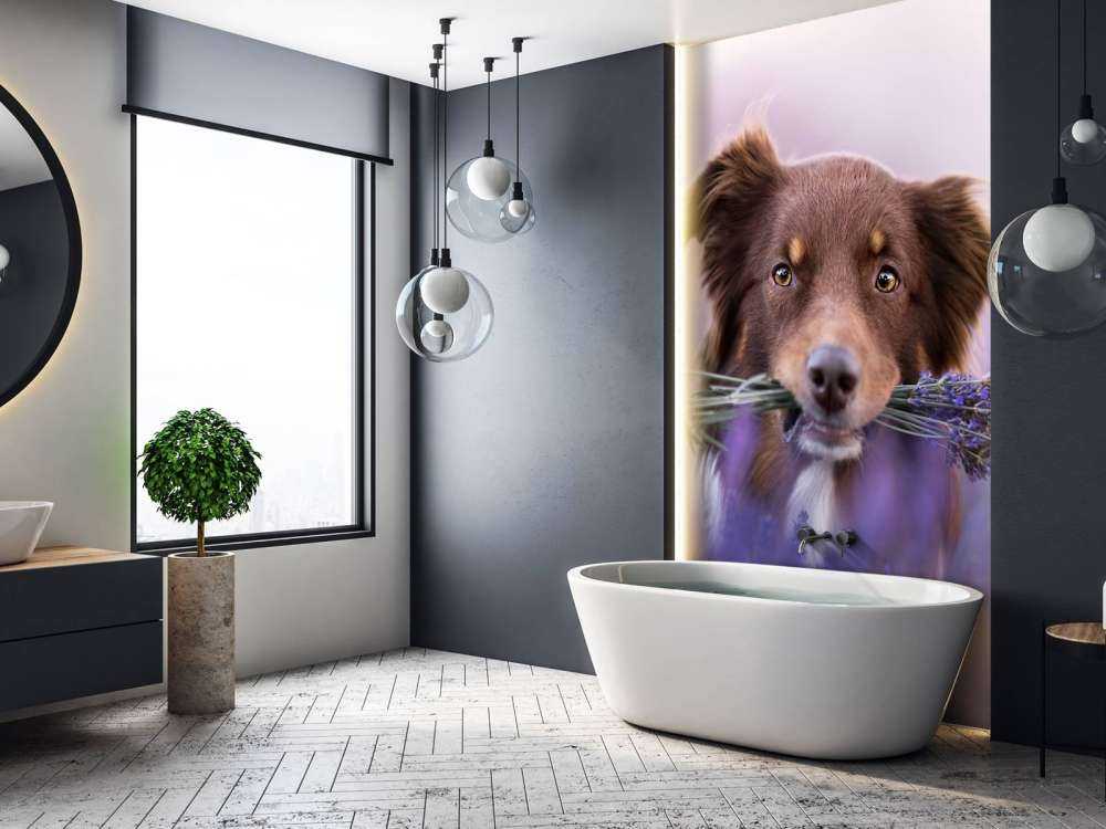 Hund med lavendel