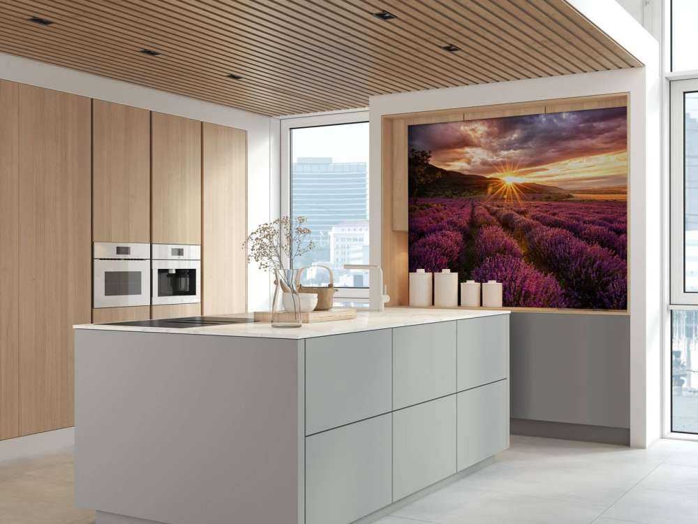 Lavendel under solen