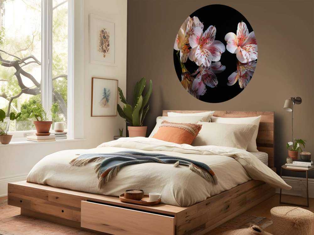 Alstroemeria blommar med reflektion